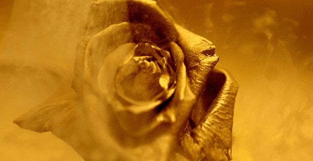 Manifesto I Caurum: Rinascita